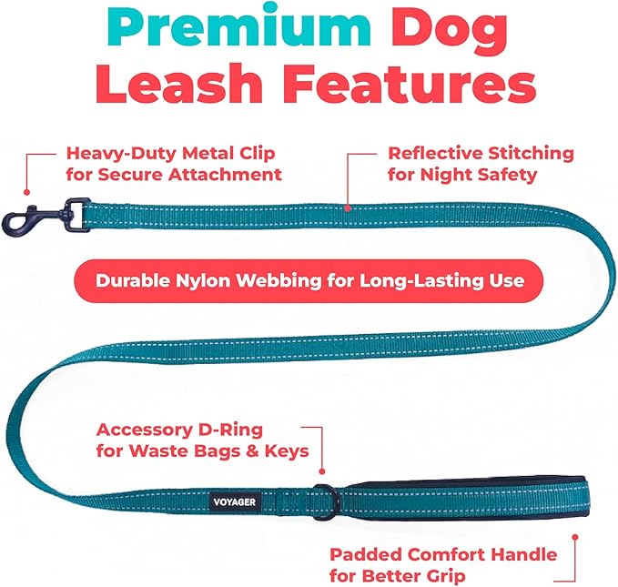 Best Pet Supplies Voyager Reflective Dog Leash or Collar with Neoprene Handle, for Small, Medium, and Large Breed Puppies, Cute and Heavy Duty for Walking, Running and Training - Turquoise (Leash), M