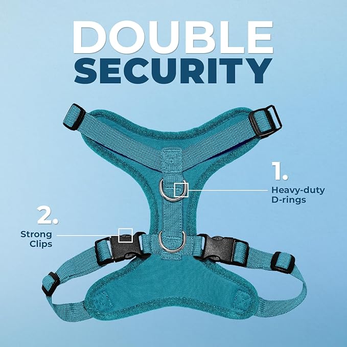 Best Pet Supplies Voyager Step-in Lock Pet Harness w Reflective Pet Leash Combo Set with Neoprene Handle 5ft - Supports Small, Medium and Large Breed Puppies/Cats - Turquoise Set, S
