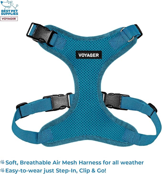 Best Pet Supplies Voyager Step-in Lock Pet Harness w Reflective Pet Leash Combo Set with Neoprene Handle 5ft - Supports Small, Medium and Large Breed Puppies/Cats - Turquoise Set, XS