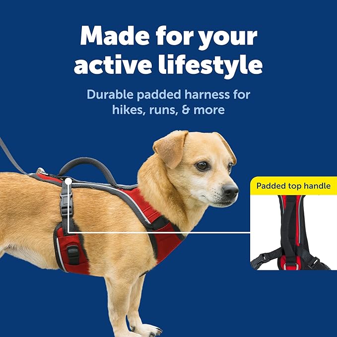 PetSafe EasySport Dog Harness Adjustable Padded Dog Harness with Control Handle and Reflective Piping Extra Small, Red