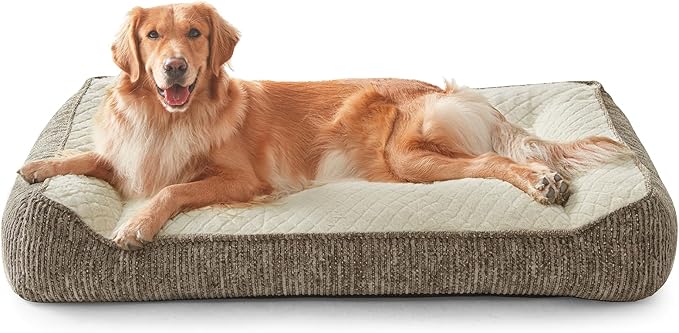 JOEJOY Extra Large Orthopedic Dog Beds Large Sized Dog, Extra Thick Supportive Big Dogs Bed with Sides, Ultra Soft Pet Bed Sofa, Beige, 48''x35''