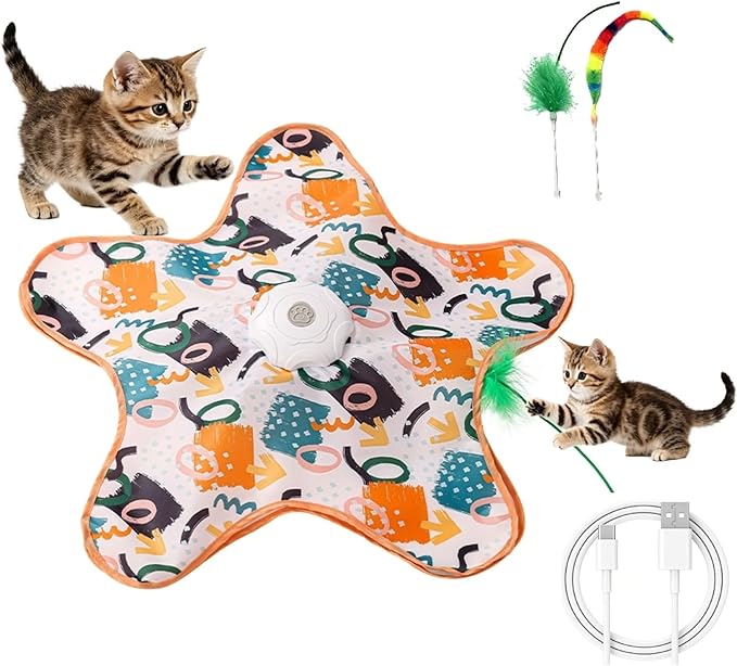Hide and Seek Interactive Cat Toy, 5-Hole Motion Activated Bird Sound USB Rechargeable Puzzle Toy, Automatic Mental Stimulation for Indoor Cats & Multi-Cat Play (Graffiti Cover)
