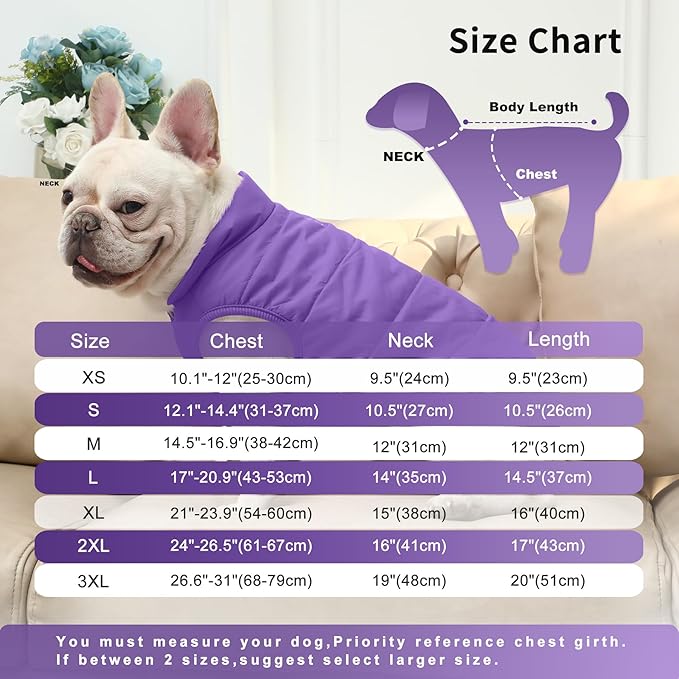JoyDaog 2 Layers Fleece Lined Warm Dog Jacket for Winter Cold Weather,Soft Windproof Medium Dog Coat,Purple L