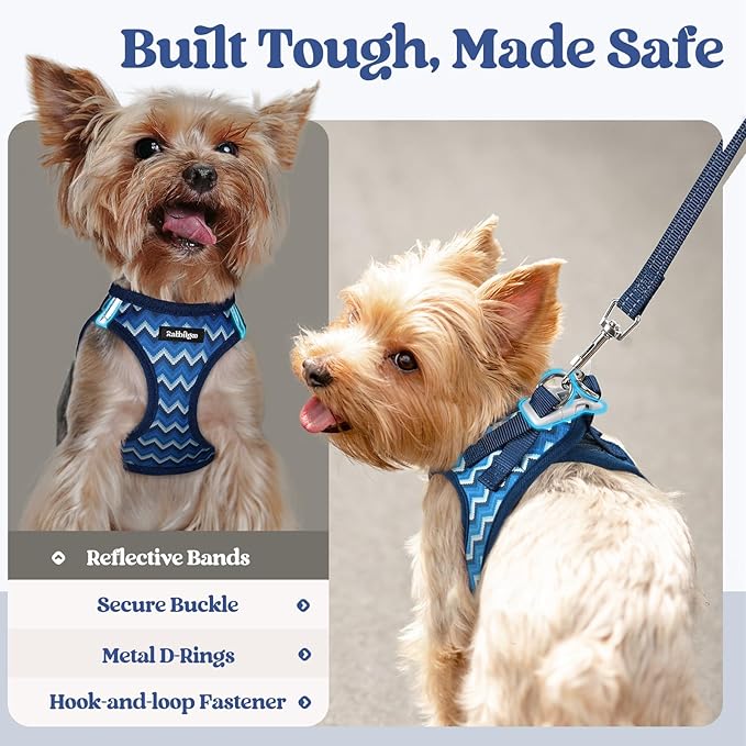 rabbitgoo Dog Harness Small Sized and Leash Set, Step in Soft Light Puppy Vest, Breathable Mesh Pet Harness, Reflective for Safe Easy Walking, Blue Zigzag XS
