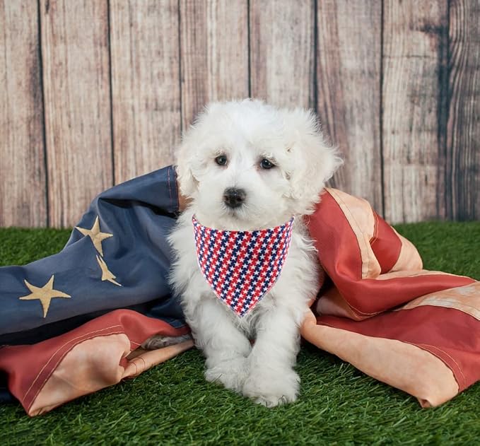 Lionet Paws Dog Bandana,4th of July Fabric Dogs Kerchief for Medium Large Dogs,Dog Cotton Triangle Bibs Scarf for Girl Boy