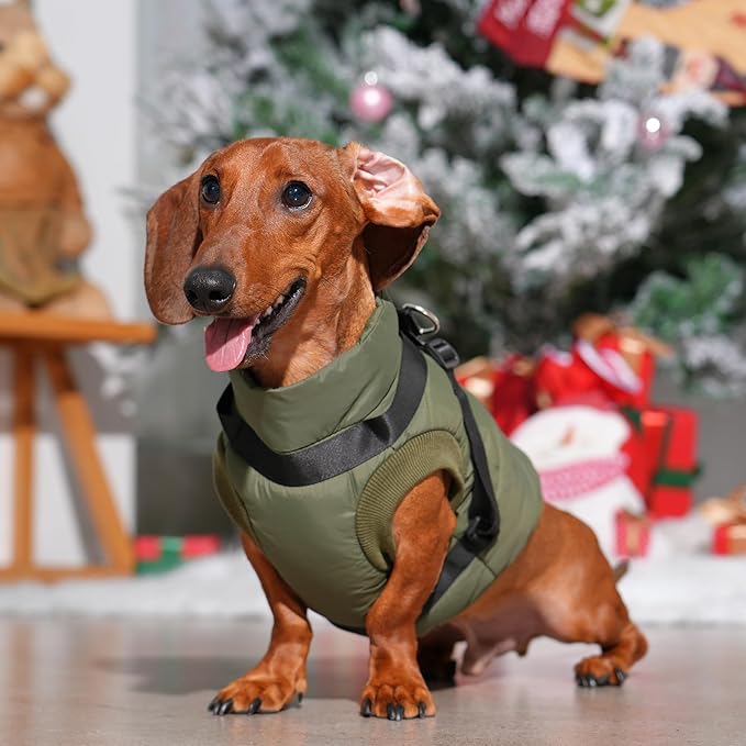 JoyDaog Dog Jacket with Harness,Fleece Lined Warm Puppy Coat for Winter,Soft Windproof Large Dog Vest,Green XXL