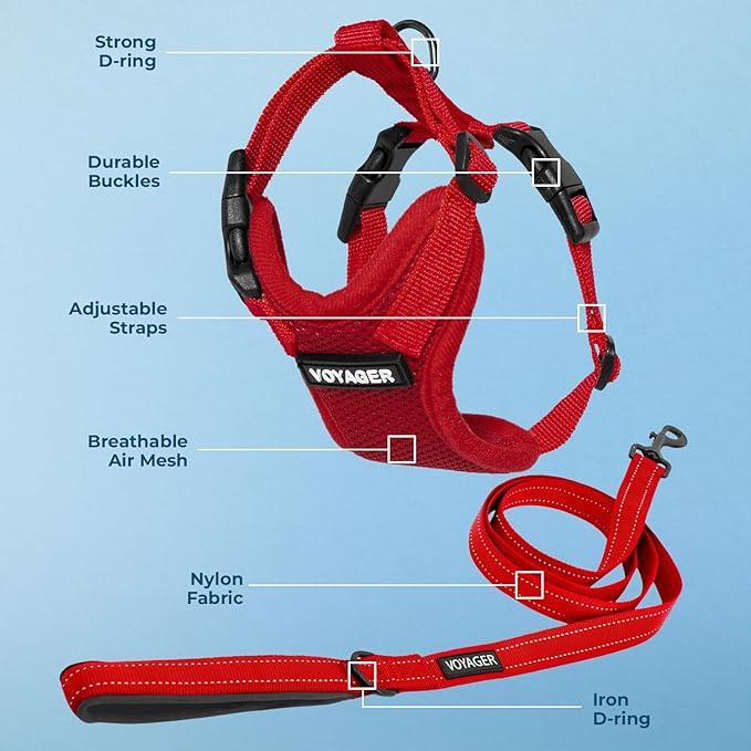 Best Pet Supplies Voyager Step-in Lock Pet Harness w Reflective Pet Leash Combo Set with Neoprene Handle 5ft - Supports Small, Medium and Large Breed Puppies/Cats - Red, S