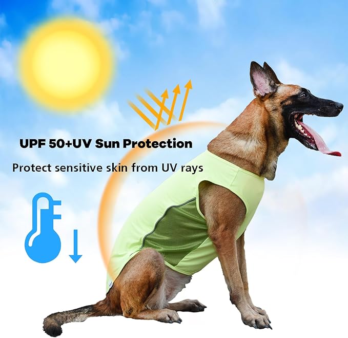 UPF 50+ Sun Protection Sleeveless Dog Shirt for Medium Dogs - Quick-Dry Breathable Sports Fan T-Shirt with Reflective Strips, Lightweight UV Protective Vest P23ST00502XXL