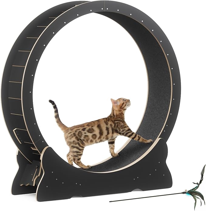 Mondeer Cat Exercise Wheel, 46'' Cat Wheel for Indoor Cats with Carpeted Runway, XL Treadmill with Removable Carpet and Teaser, for Running Walking Training (Black)