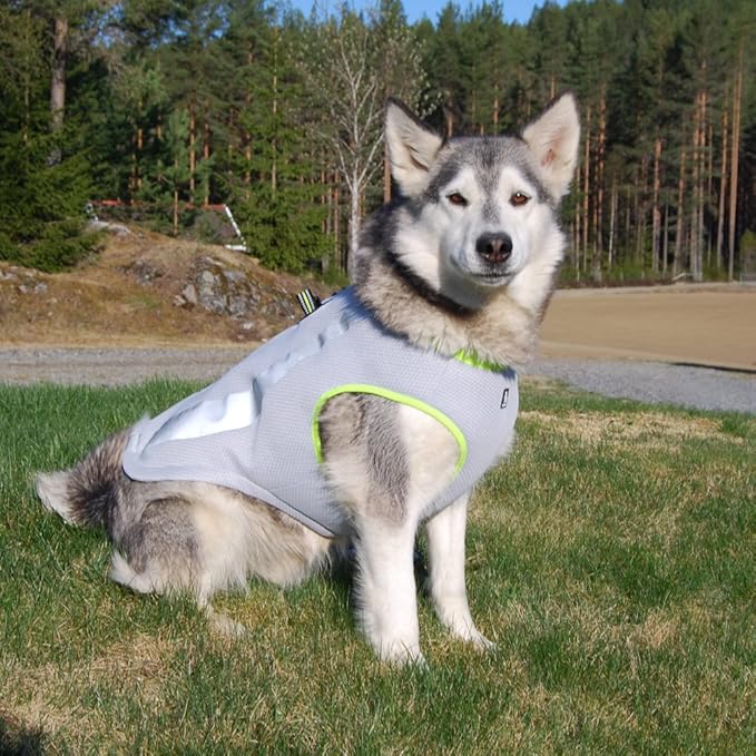 SGODA Dog Cooling Vest Harness Cooler Jacket Grey Green XX-Large
