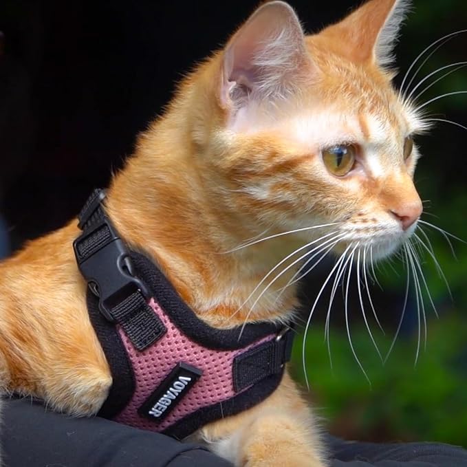 Best Pet Supplies Voyager Step-in Lock Pet Harness w Reflective Pet Leash Combo Set with Neoprene Handle 5ft - Supports Small, Medium and Large Breed Puppies/Cats - Pink/Black Trim, XL