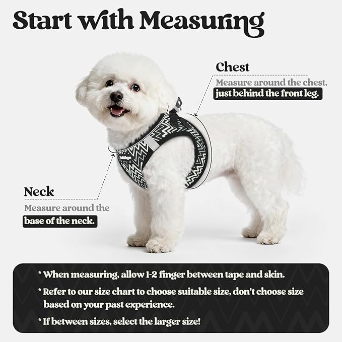 rabbitgoo Dog Harness Small Sized and Leash Set, Step in Soft Light Puppy Vest, Breathable Mesh Pet Harness, Reflective for Safe Easy Walking, Blach Zigzag S