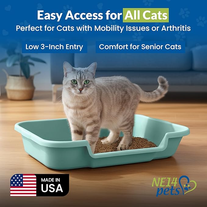 KittyGoHere Senior Cat Litter Box, Large Litter pan with Long-Handle Jumbo Scoop, Open Top Low Entrance Kitty Litter Box, Lightweight Low Entry Litters Box, Durable, Made in USA (Apple Green)