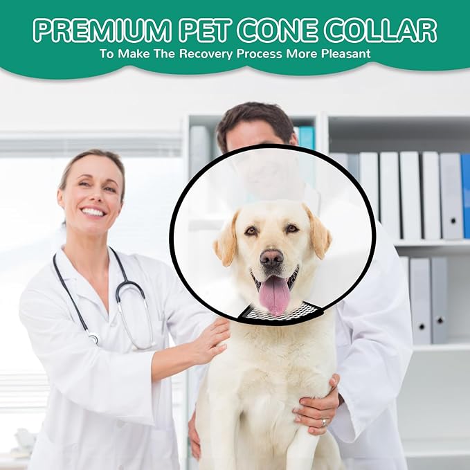 GLADOG Soft Dog Cone Collar – 3 Similar Sizes per Set (S/M/L) for Better Fit, XL Single Size – Cone for Dogs to Stop Licking, Adjustable E Collar for Dogs After Surgery, Elizabethan Collar for Dog