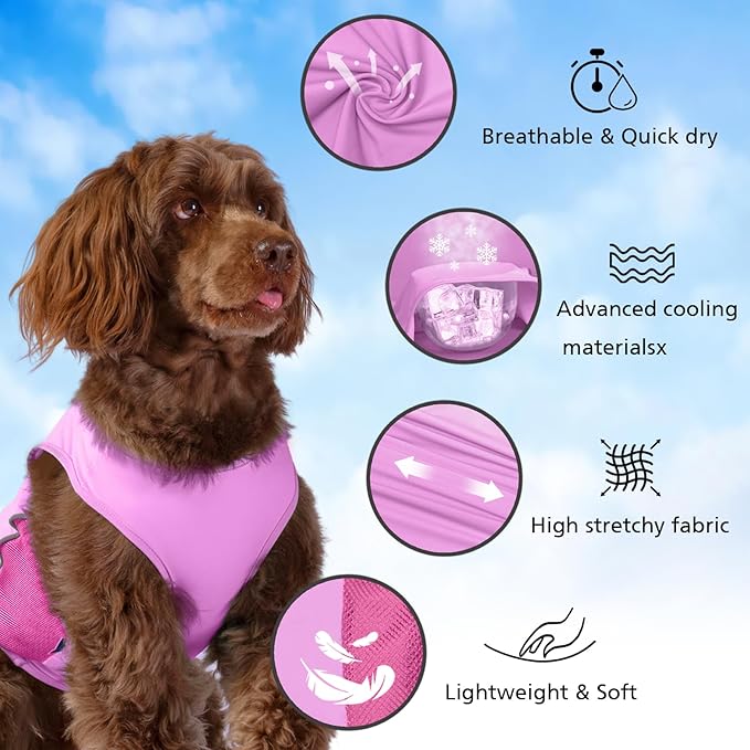 UPF 50+ Sun Protection Dog T-Shirt, 2 Pack Lightweight Sleeveless Dog Vest for Small Dogs Girl – Reflective Strips, Quick-Dry Pet Apparel, Sports Fan Shirt P23ST00504S