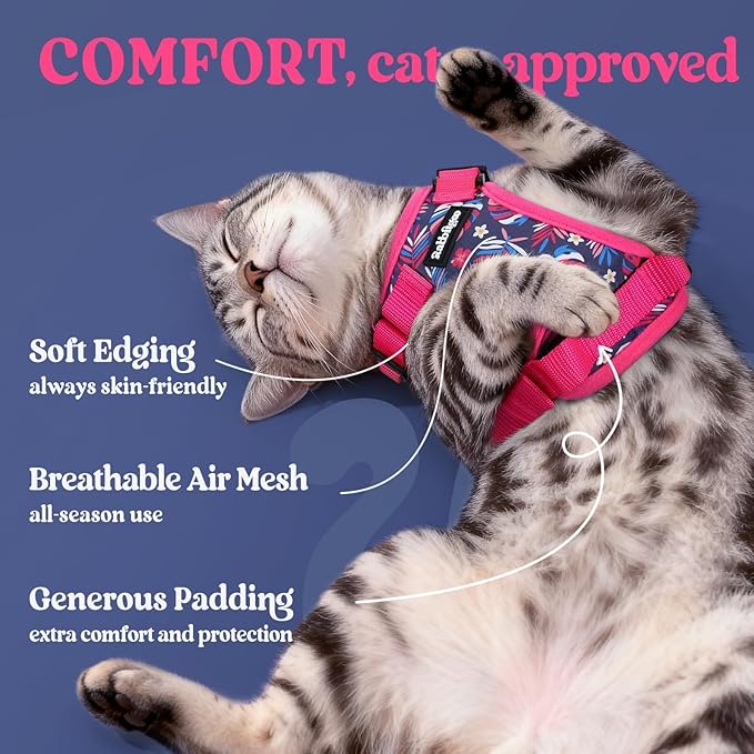 rabbitgoo Cat Harness and Leash Set, Escape Proof Kitten Harness for Safe Outdoor Walks, Soft Breathable Adjustable Vest with Reflective Strips for Kittens and Small Cats, Coconut Fuchsia, XS