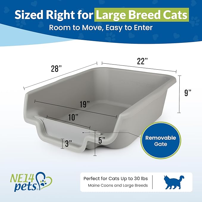 KittyGoHere Senior Cat Litter Box, Jumbo Litter pan, Open Top Low Entrance Kitty Litter Box, Lightweight Low Entry Litters Box, Durable, Made in USA (Misty Gray)