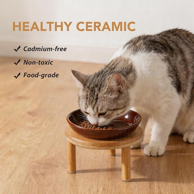 Havniva Elevated Cat Bowls Raised Ceramic Cat Bowl, 5.9” Wide Opening Cat Food Bowl Whisker Friendly Cat Dish Anti-Slip with Bamboo Stand, Shallow Pet Food & Water Bowl for Indoor Cats