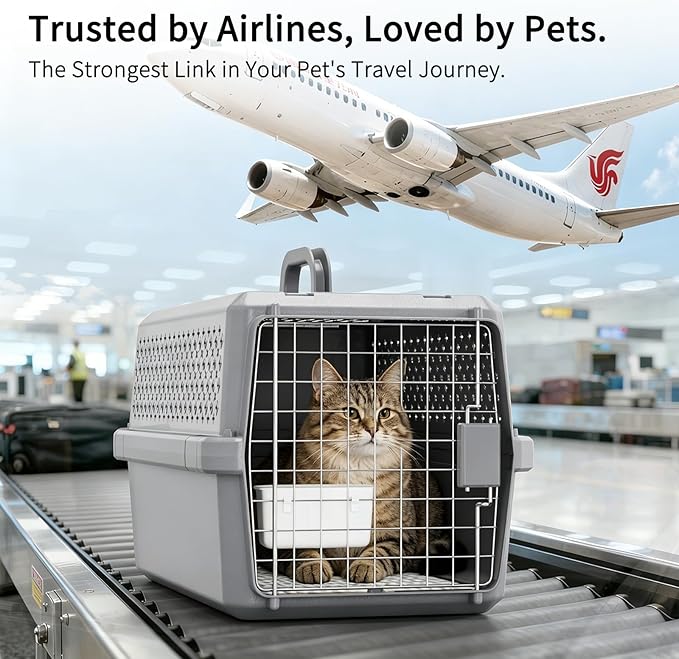 RIZZARI Pets Spree Hard-Sided Pet Travel Carrier, Portable Crate for Medium Dogs and Cats, Durable Plastic Carrier with Metal Door and Ventilation, Ideal for Air Travel, Trips and Outdoor Use
