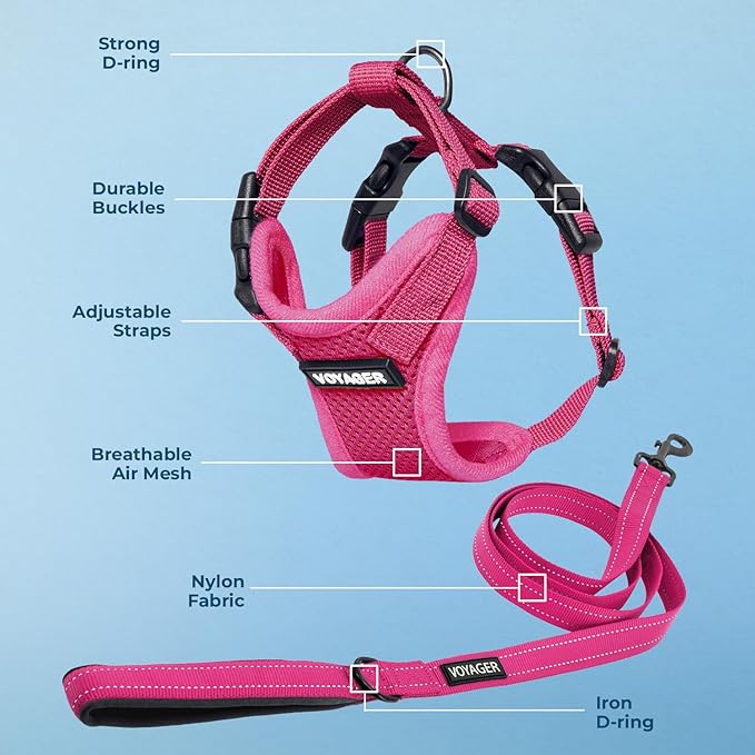 Best Pet Supplies Voyager Step-in Lock Pet Harness w Reflective Pet Leash Combo Set with Neoprene Handle 5ft - Supports Small, Medium and Large Breed Puppies/Cats - Fuchsia, XS