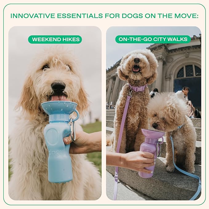 Springer Dog Water Bottle | Portable Travel Drinking Feeder Dispenser for Dogs & Puppies | As Seen on Shark Tank | Leak-Proof Bowl | BPA-Free | Outdoor Walking, Hiking & Travel | 22oz Blue