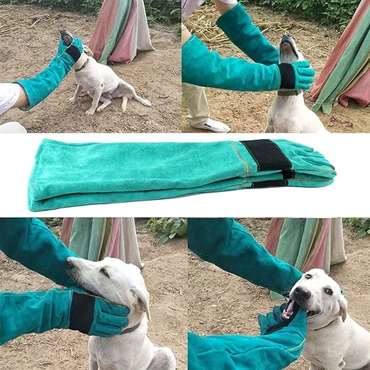 AOWPFVV Long Sleeve Thick Leather Animal Handling Glove Anti Scratch Protective Gloves for Training Dog Cat Bird Snake Parrot Lizard Wild Animals Reptiles,Bite Resistant Gloves
