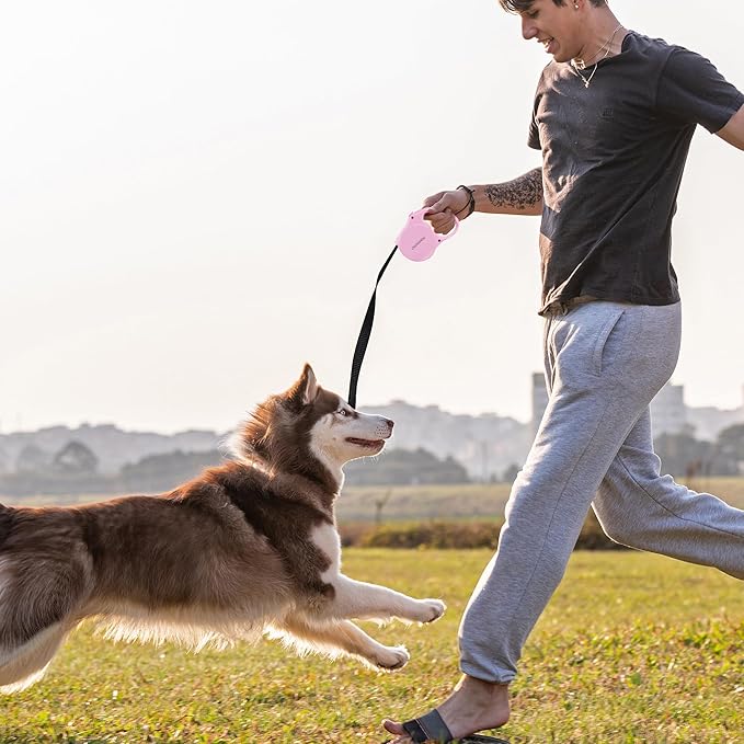 Pink Retractable Dog Leash,Strong Nylon Tape-One-Handed One Button Lock for Puppy, Cat, Pet Walking and Training,16ft Dog Walking Leash with 360°Tangle-Free Design,Anti-Slip Handle (Pink -Small)
