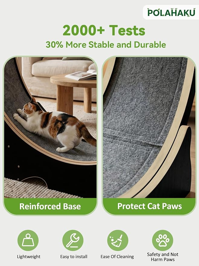 Cat Exercise Wheel, 48 Inch Diameter Cat Treadmill for Indoor Cats, Cats Running Wheel with Updated Enhanced Base and Carpeted Runway for Cat's Longer Life and Fitness, Black