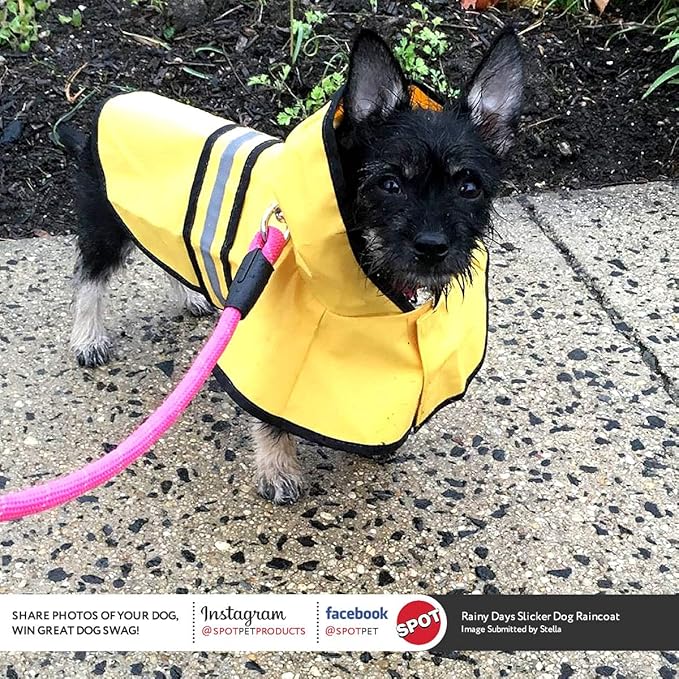SPOT Rainy Days Slicker - Yellow Dog Rain Jacket With Hood, Reflective Strip for Safety, Leash Hole & Adjustable Velcro Belly Strap, 100% Polyester Water Resistant Pet Raincoat - Small, 9in Long