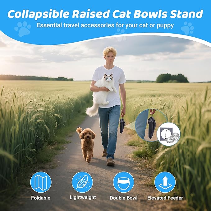 Upgraded Elevated Cat Bowls with Food Mat,10°Tilted Foldable Stand Anti Vomiting Raised Cat Dishes for Food and Water,2 Stainless Steel Bowls for Cats and Puppy(with Mat)