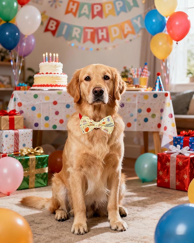 PET SHOW 10 Pack Happy Birthday Big Dog Bow Ties Sliding Collar Attachment Pet Bowties for Medium Large Dogs Party Balloon Cake Bowknots Collar Charms Grooming Accessories