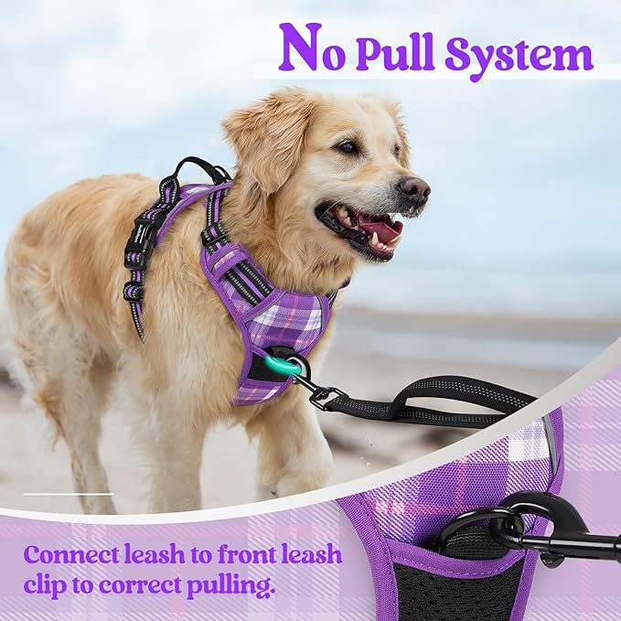 rabbitgoo Dog Harness No Pull with 2 Leash Clips, Adjustable Soft Padded, Reflective Oxford No Choke Pet Vest with Easy Control Handle for Small Dogs, Purple Plaid, S