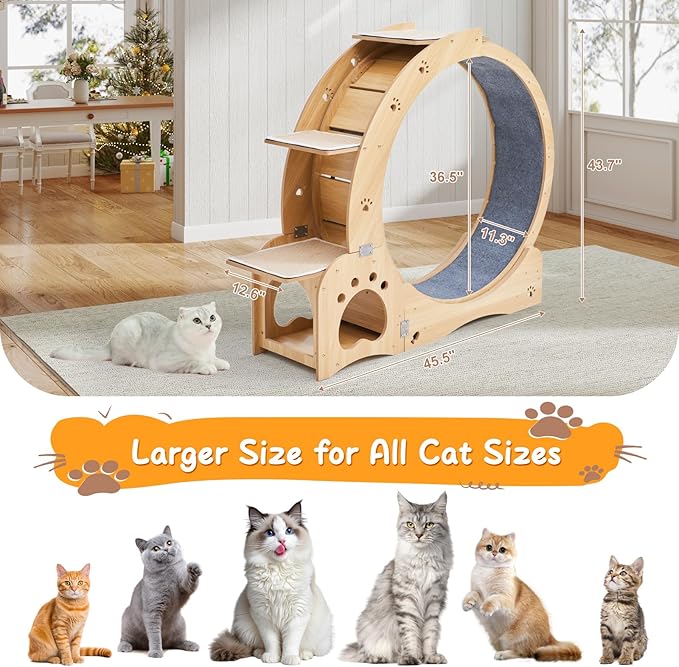Cat Wheel 5-in-1 Upgraded Exercise Treadmill for Indoor Cats，Cats Treadmill with Silent Running,Tunnel,Wheels for Indoor