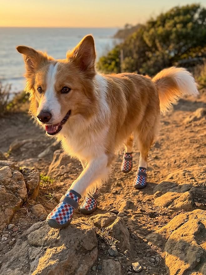 Dog Shoes Breathable Non-Slip Outdoor Booties for Small Medium Dogs, Pet Boots Paw Protector for Hot Pavement Hardwood Floors (Red Blue, Medium)