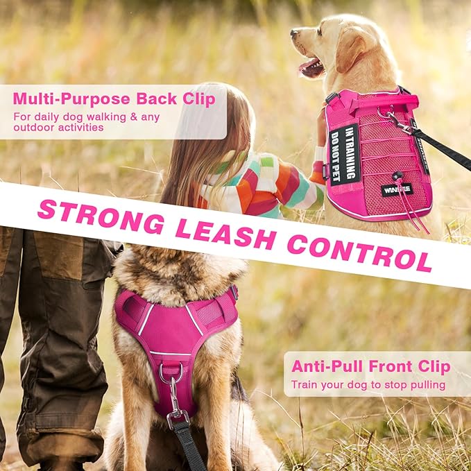 WINSEE Service Dog in Training Mesh Harness with 10 Pet Patches, Soft Air Mesh Breathable Tactical Dog Molle Vest, Reflective Military Pet Vest for Walking Hiking for Small Dogs