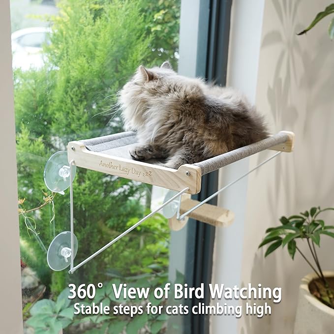 PETKARAY Cat Window Perch, Foldable Cat Hammock for Window, Stable Window Shelves for Indoor Cats, Set Includes 2 Pack of Window Stairs
