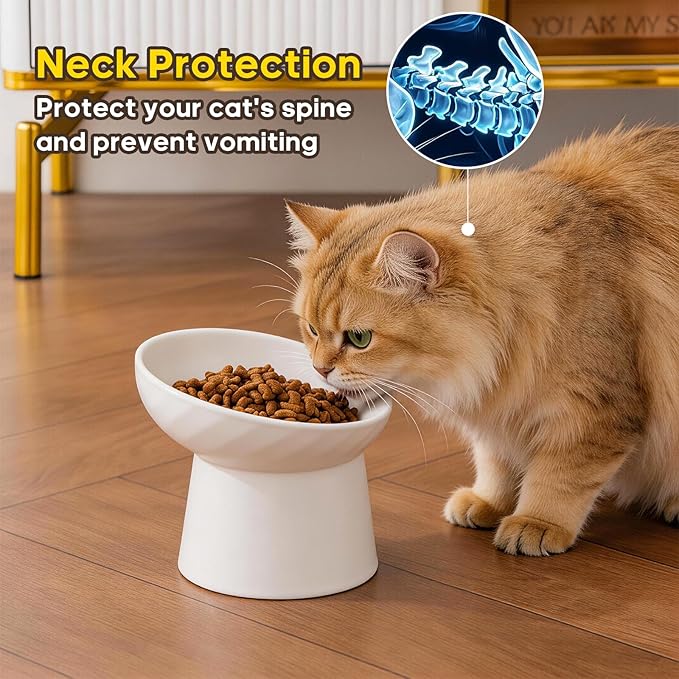 Ceramic Raised Cat Bowls - Elevated Tilted Cat Food and Water Bowls, Anti Vomiting and Protect Pets' Spines Pet Feeding Dish for Cats, Dishwasher Microwave Safe (1 x Bowl - White)