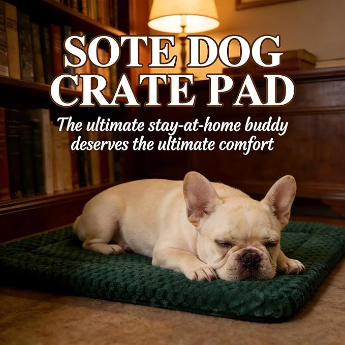 Dog Bed Mat - Durable & Cute Crate Dog Beds for Small Dogs & Cats, Comfortable Kennel Pad for Home, Crate & Travel