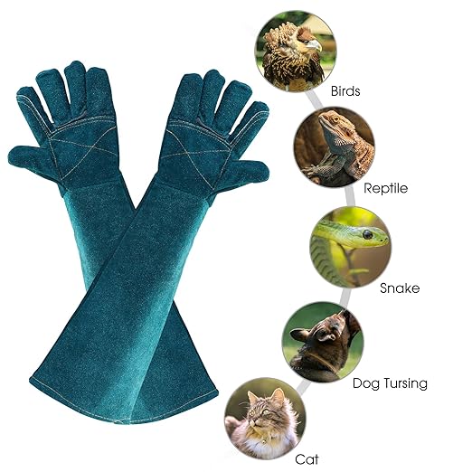 AOWPFVV Animal Handling Gloves Bite Proof Leather Dog Cat Scratch Bird Falcon Grabbing Reptile Squirrel Snake