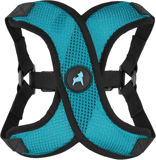 Gooby Comfort X Step in Lite Dog Harness - Choke Free, Escape Free with Light Breathable Mesh - Dog Harness for Small and Medium Breeds - Quick Release Buckle, Metal D-Rings - Turquoise, Small
