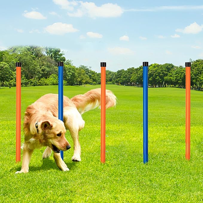 Dog Agility Training Equipment, Dog Obstacle Course Training Starter Kit Pet Outdoor Game with Tunnel, Agility Hurdle, Weave Poles, Jump Ring, Pause Box