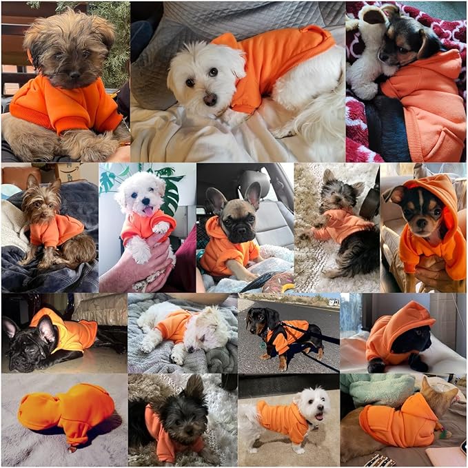 Jecikelon Soft Dog Hoodies for Small Dogs, Fleece Puppy Sweatshirt with Pockets, Warm Winter Cold Weather Coats for Pet Cat, Cute Clothes Puppy Costume (Orange, X-Large)