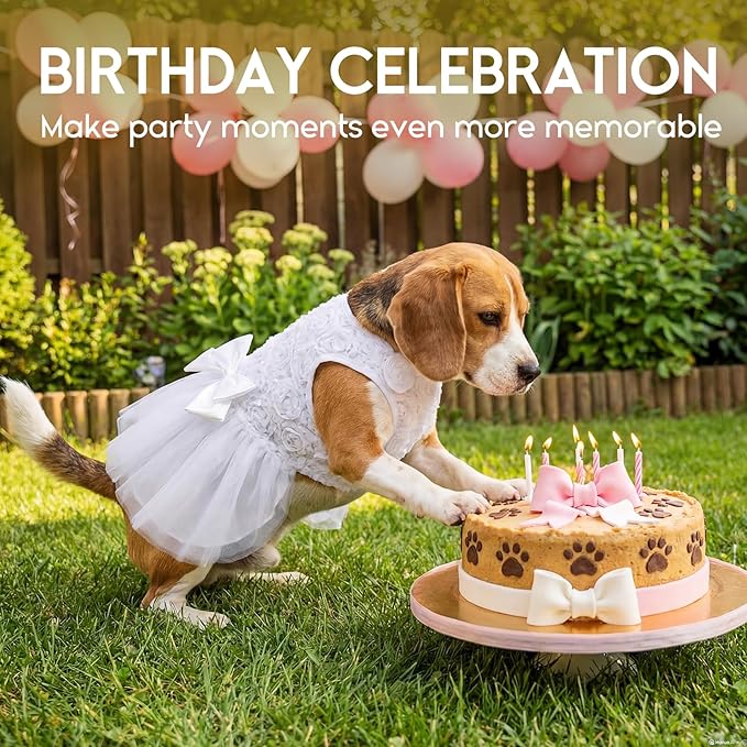 ASENKU Dog Dress Pet Wedding Dress Princess Lace Puppy Birthday Party Outfit Formal Apparel Girl for Small Medium Dogs Cats (X-Small, White)