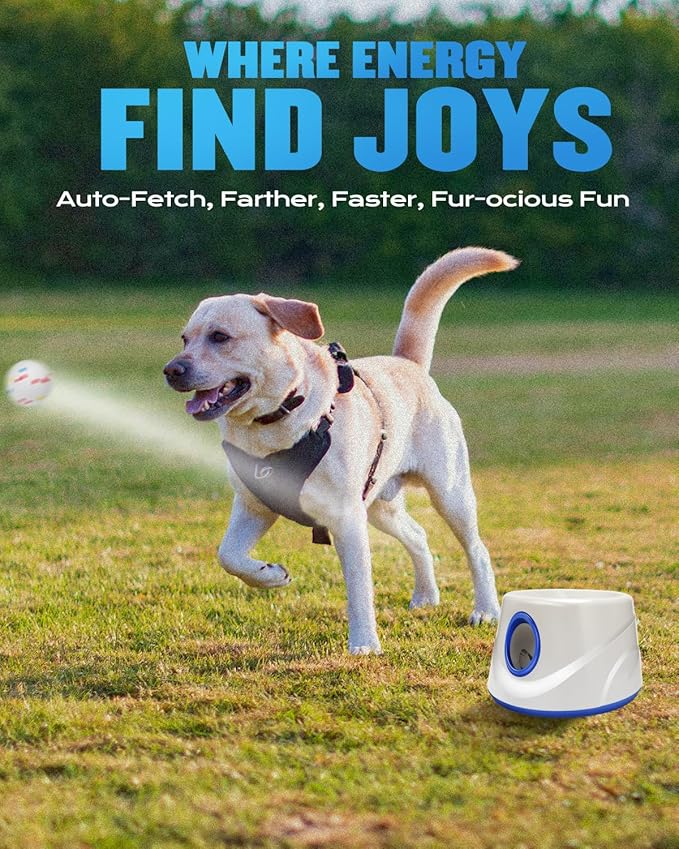 Automatic Dog Ball Thrower Launcher for Small to Medium Dogs, Tennis Machine Ball Thrower for Dogs, Interactive Dog Toys for Boredom, Games to Keep Them Busy, Includes 6 ETPU Balls, 2.3 Inch (BLUE)
