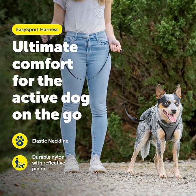 PetSafe EasySport Dog Harness - Padded, Adjustable Dog Harness with Control Handle and Reflective Piping - Great for Active Dogs - from the Makers of the Easy Walk Harness - Large, Charcoal