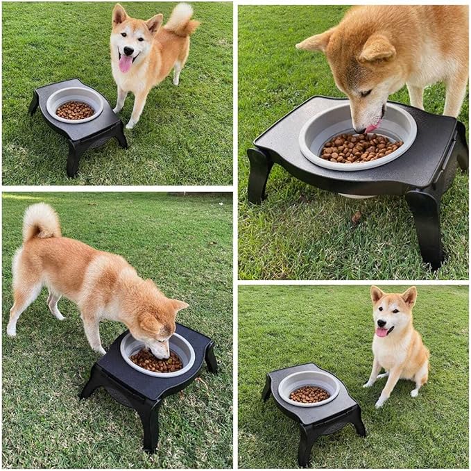 Tuff Pupper Elevated Dog Bowl - Single Raised Collapsible Travel Bowl Holds 80oz/12cups Food/Water