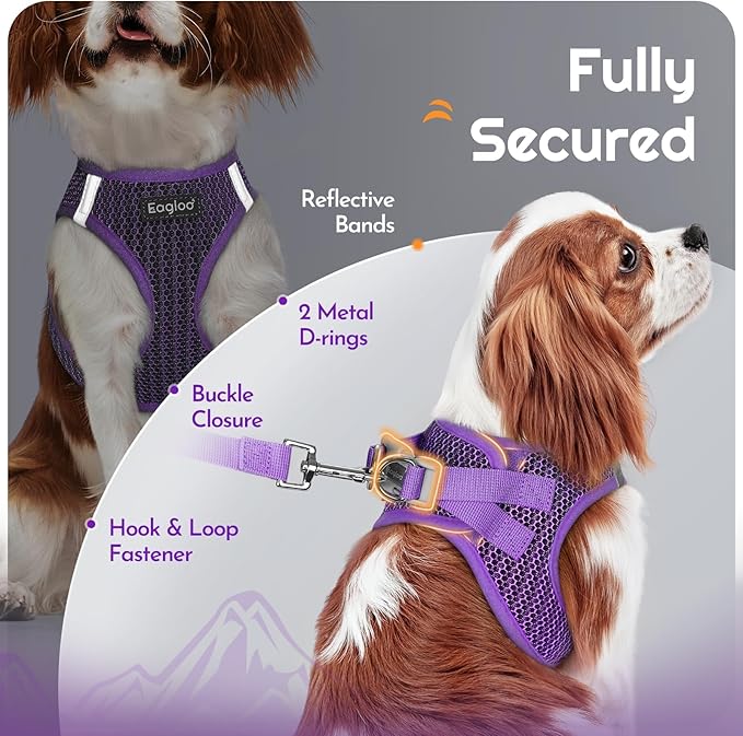 Eagloo Small Dog Harness and Leash Set, Step in Puppy Vest with Breathable Soft Mesh, Walking Reflective Pet Harness for Small Dogs, Purple, XS