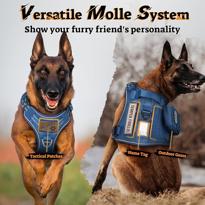 rabbitgoo Tactical Dog Harness for Small Dogs No Pull Adjustable Military Vest with Handle MOLLE Reflective Heavy Duty Dog Vest for Walking Training Hunting Outdoor Working Medium Size Dog Blue S