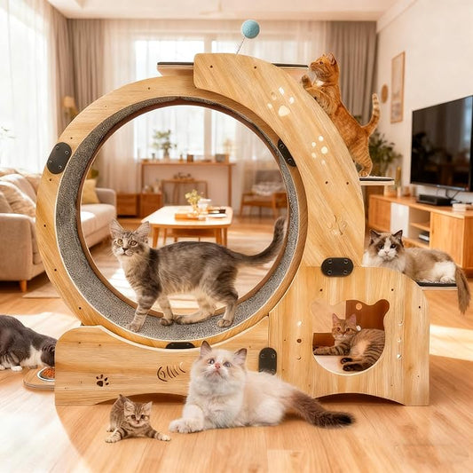 6-in-1 Upgraded Cat Wheel Exerciser for Indoor,Large Cats Treadmill,Cats Running Wheel with Silent Wheels,Loss Weight Device ﻿