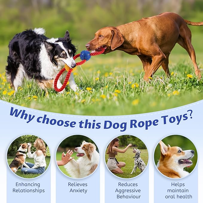 Aitmexcn Dog Rope Toy for Small and Medium Dogs, 18 Inch Cotton Tug of War Dog Toy with Spiky Balls, Interactive Chew Toy for Puppy Teething, Fetch, Pulling and Teeth Cleaning